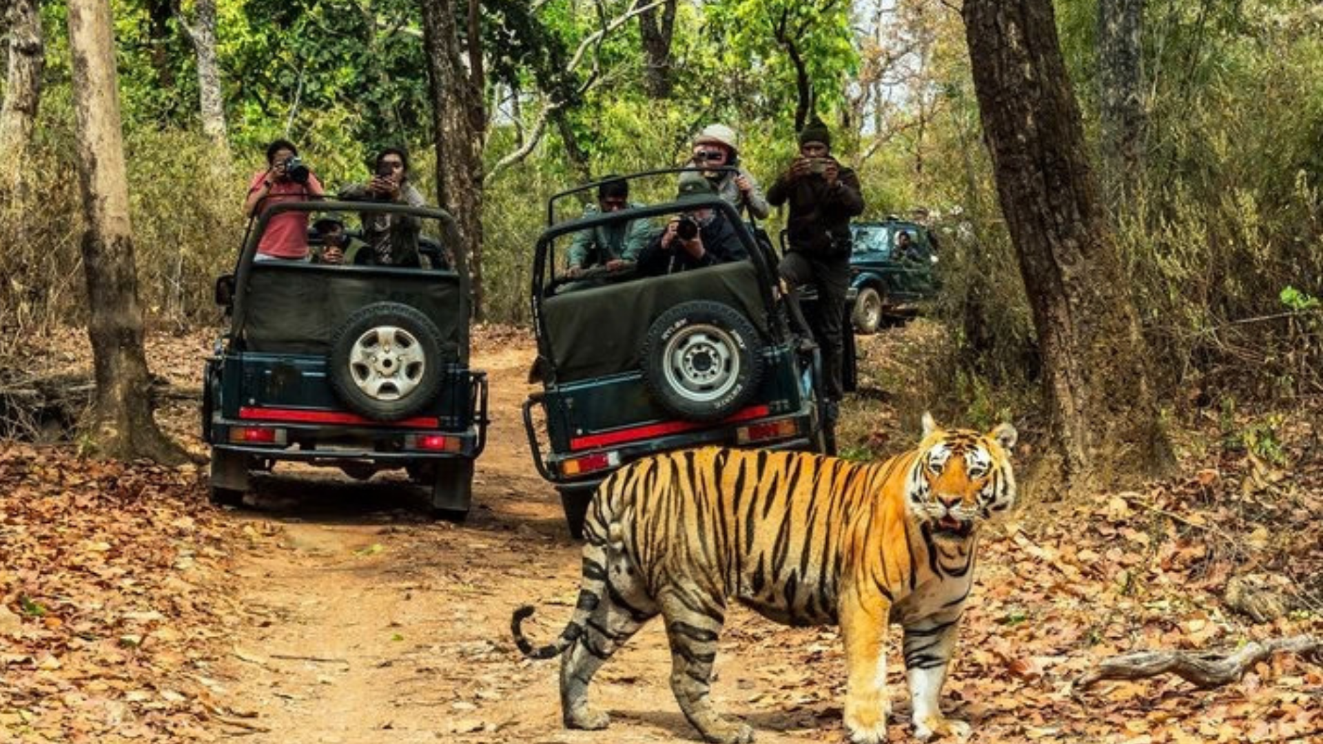 Nepal Tour Package with scenic mountain views